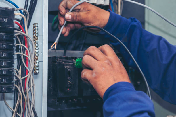 Best Electric Panel Repair  in Appleton, MN