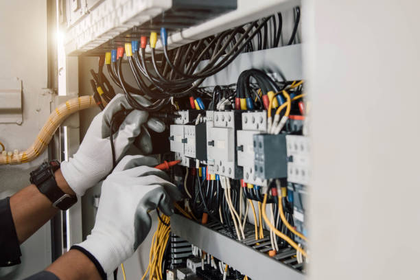 Best Licensed Electrician  in Appleton, MN